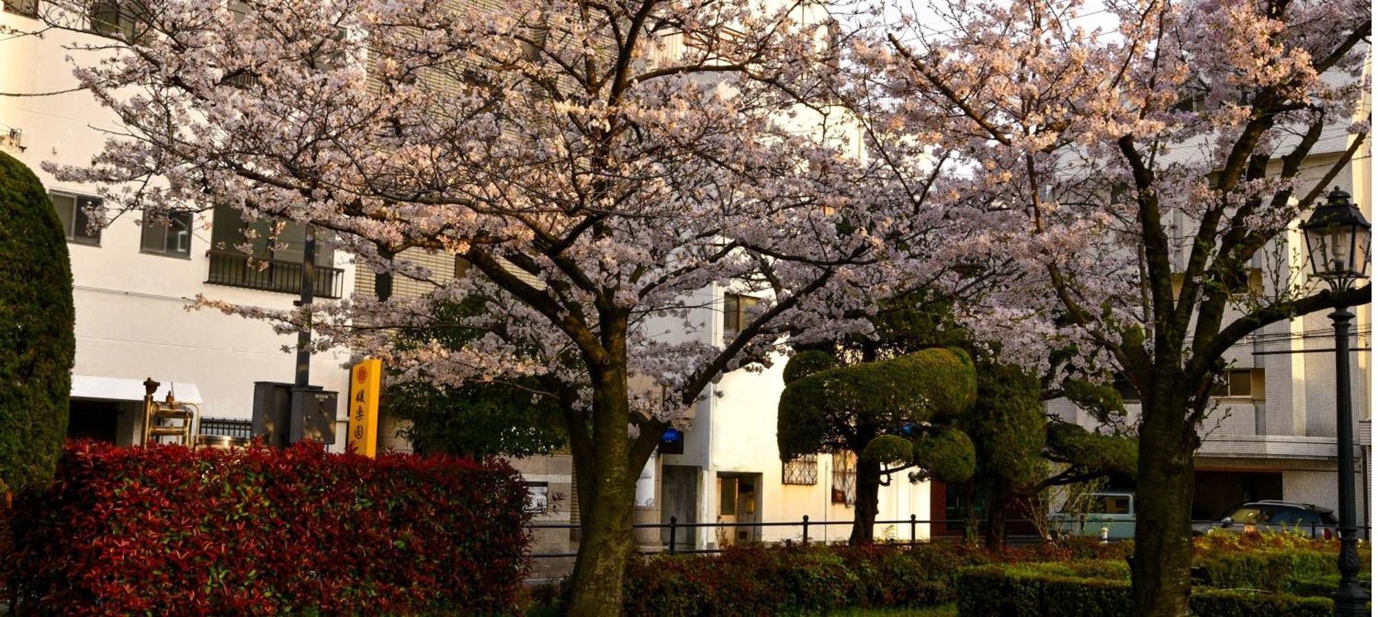 媛楽園 松山中心地及び道後温泉に近い家族やグループ旅行の多人数が泊まれる快適な宿 エクステリア 写真